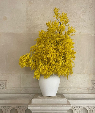 b2974dc43748cc3d775188e6b385c00a 7