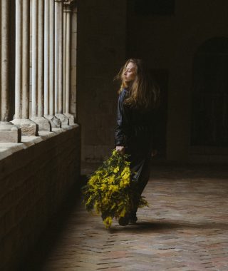 Mimosa Isaé